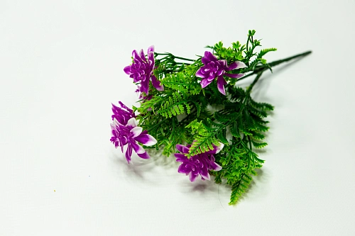 Ветка гвоздики 20 цветков пурпурно-фиолетовый