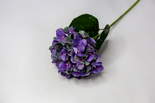 Ветка гвоздики 20 цветков пурпурно-фиолетовый